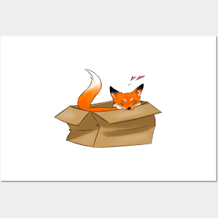 Fox in a Box Posters and Art